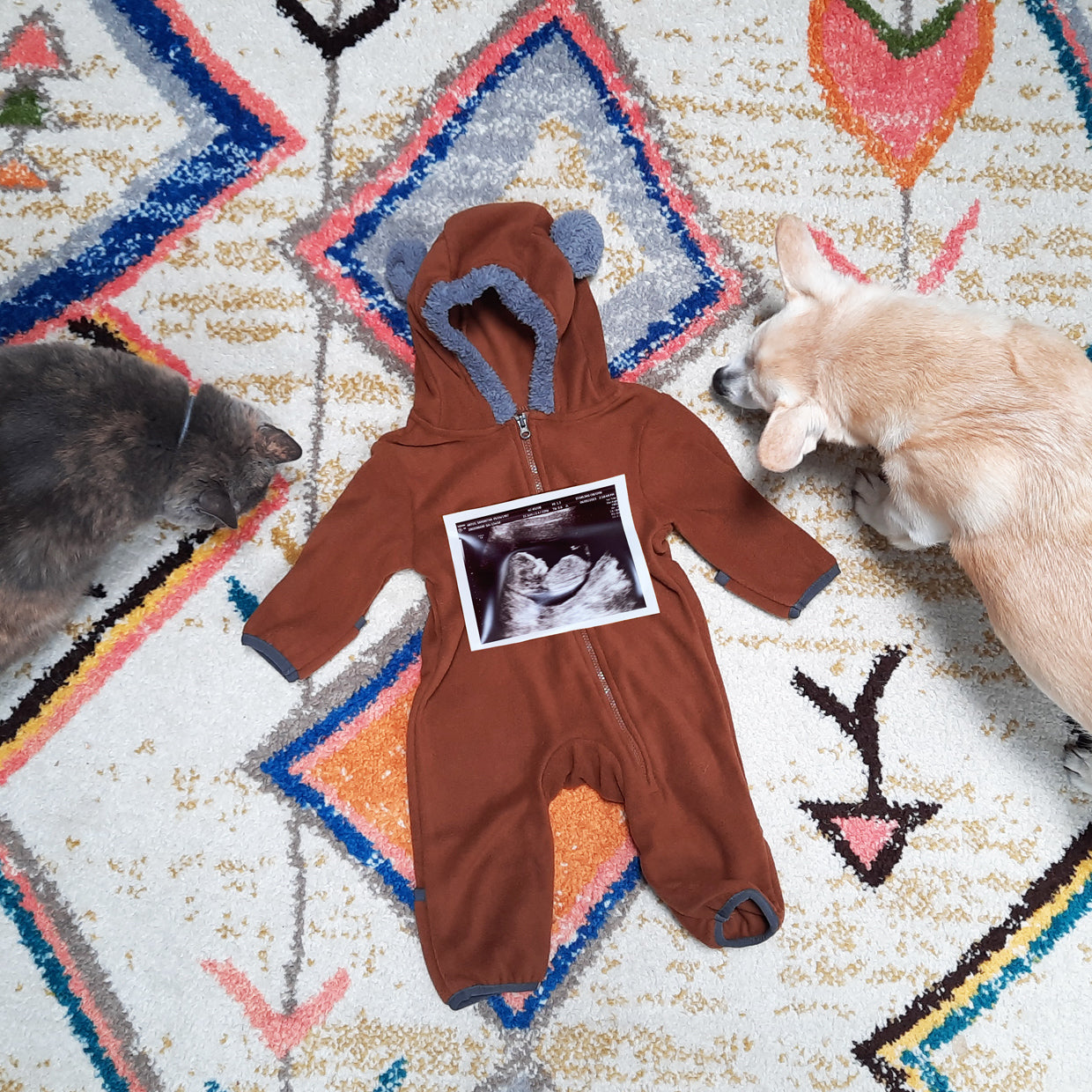 We're Having a Baby!