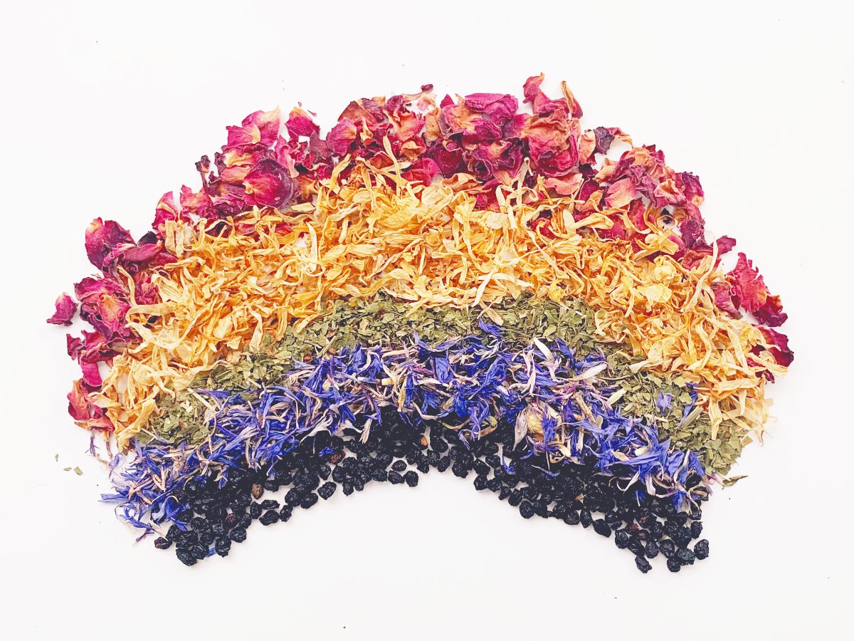 June is Pride Month! We're Donating 10% of Sales to The Trevor Project